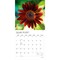 Plato; Sunflowers | 2027 12 x 24 Inch (Hanging) Monthly Square Wall Calendar | Foil Stamped Cover; Category:Wall Calendars; Image:4